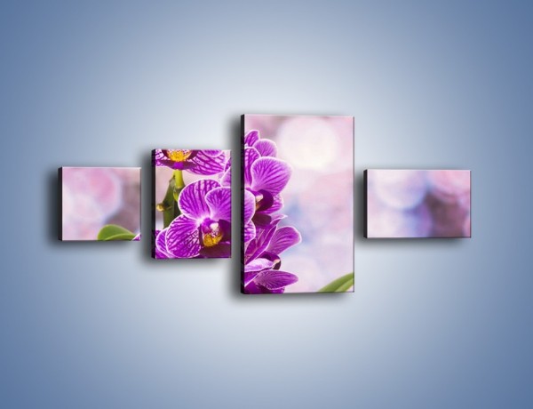 Obraz na płótnie – Storczyk i fioletowe tło – czteroczęściowy K863W5