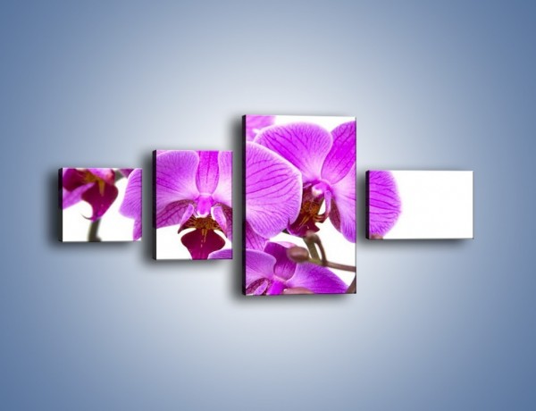 Obraz na płótnie – Samotne kwiaty bez dodatków – czteroczęściowy K870W5
