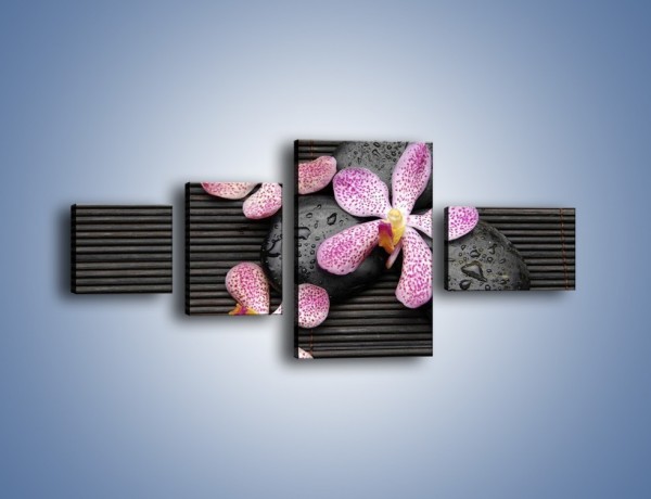 Obraz na płótnie – Rozwinięte ścięte główki kwiatów – czteroczęściowy K889W5