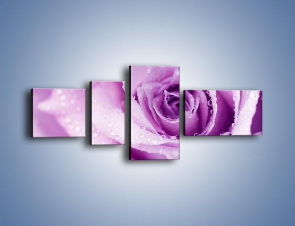 Obraz na płótnie – Jasny fiolet w róży – czteroczęściowy K894W5