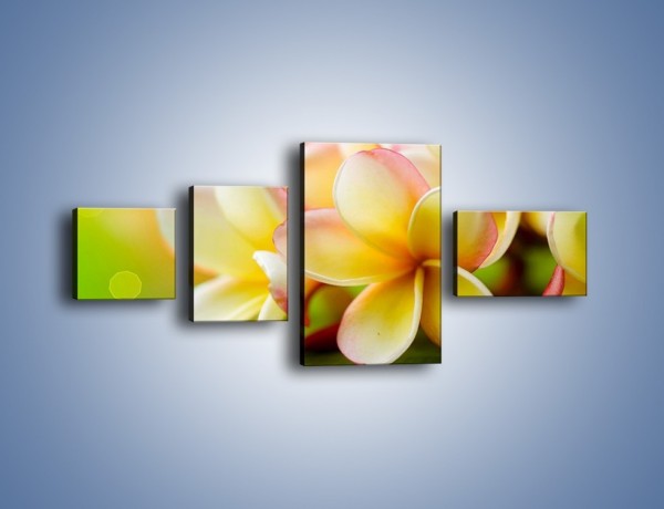 Obraz na płótnie – Kwiaty jak marcepanowe wypieki – czteroczęściowy K898W5