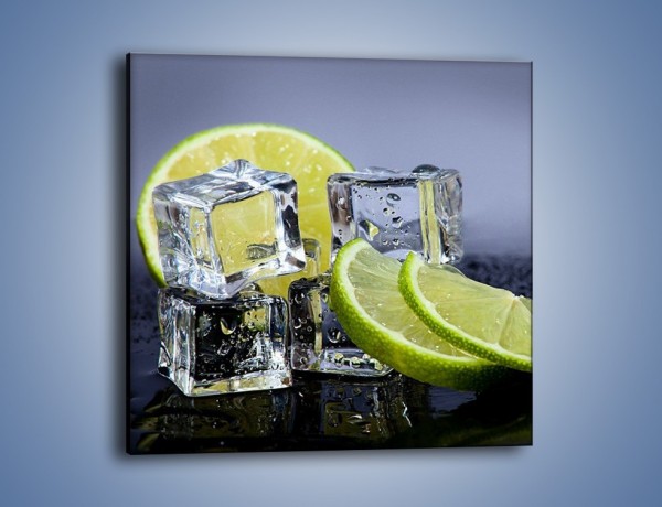 Obraz na płótnie – Plastry limonki o zmroku – jednoczęściowy kwadratowy JN496