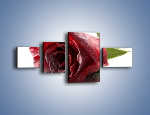 Obraz na płótnie – Zimne podłoże i czerwona róża – czteroczęściowy K933W5