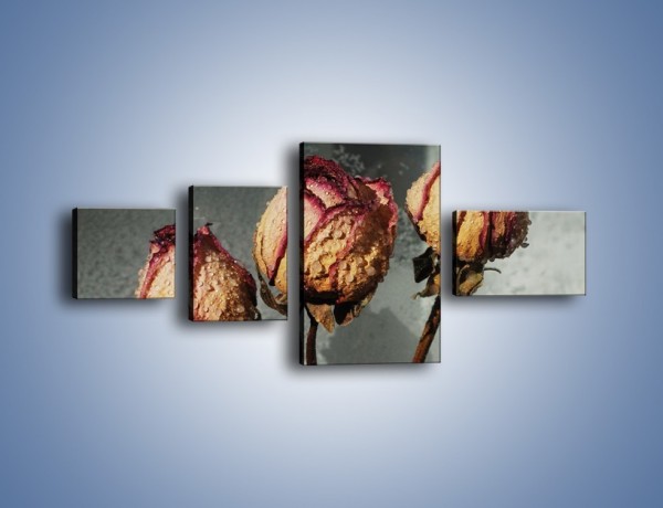 Obraz na płótnie – Ususzone zmoczone róże – czteroczęściowy K944W5