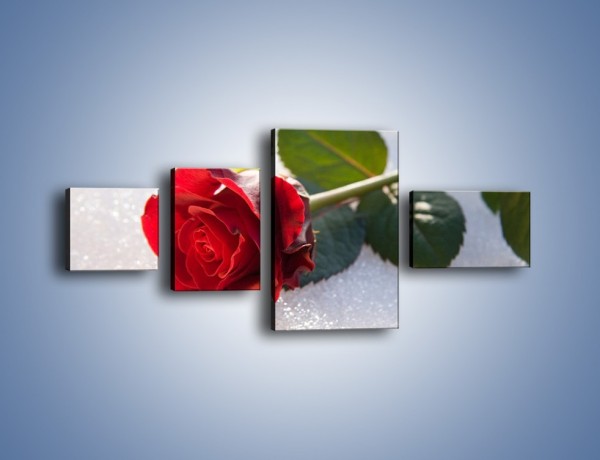 Obraz na płótnie – Gorąca róża na zmrożonej tafli – czteroczęściowy K946W5