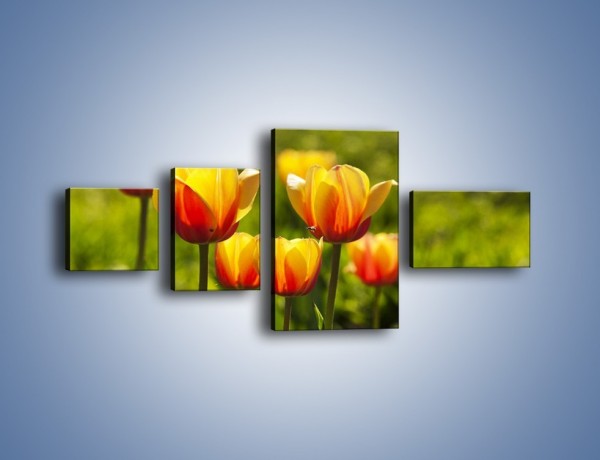 Obraz na płótnie – Pomarańczowe kwiaty i zieleń – czteroczęściowy K952W5