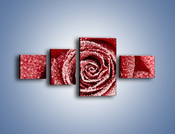 Obraz na płótnie – Szron na różanych płatkach – czteroczęściowy K958W5