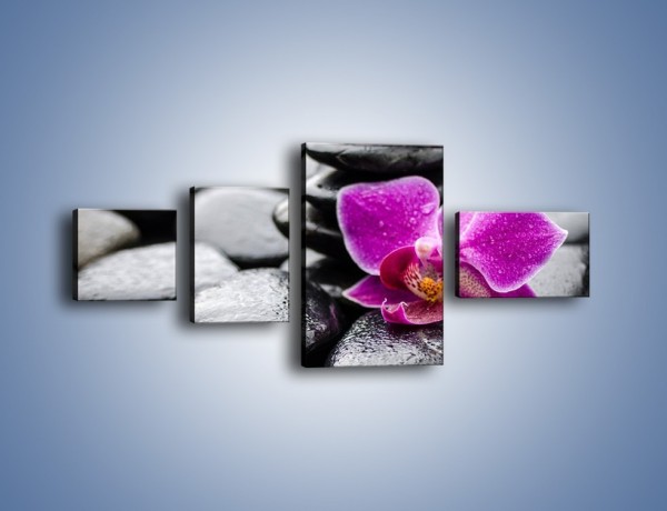Obraz na płótnie – Malutki kwiatek i morze kamieni – czteroczęściowy K983W5