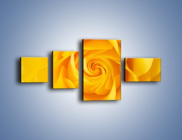 Obraz na płótnie – Moc żółtej róży – czteroczęściowy K989W5