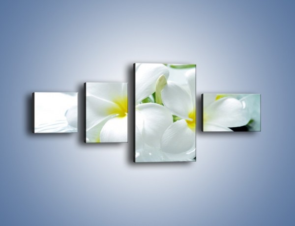 Obraz na płótnie – Białe kwiaty w potoku – czteroczęściowy K991W5