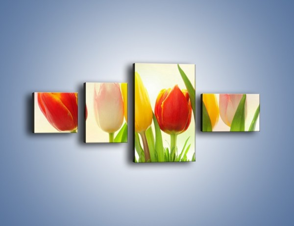 Obraz na płótnie – Sześć małych tulipanków – czteroczęściowy K996W5