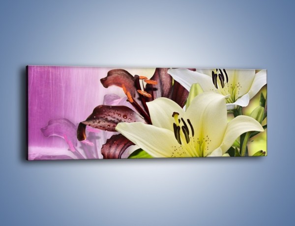 Obraz na płótnie – Podwójna twarz lilii – jednoczęściowy panoramiczny K584