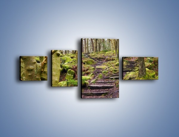 Obraz na płótnie – Schodkami przez las – czteroczęściowy KN1054W5