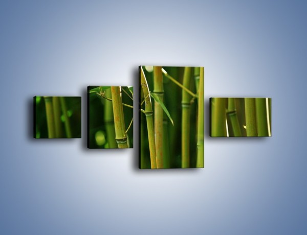 Obraz na płótnie – Bambusowe łodygi z bliska – czteroczęściowy KN118W5