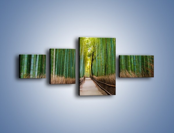 Obraz na płótnie – Bambusowy las – czteroczęściowy KN1187AW5
