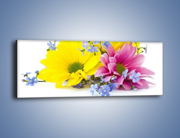Obraz na płótnie – Niezapominajki wśród kwiatów – jednoczęściowy panoramiczny K604