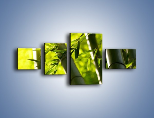 Obraz na płótnie – Twarde łodygi bambusa – czteroczęściowy KN1314AW5