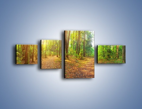Obraz na płótnie – Przejrzysty piękny las – czteroczęściowy KN1344AW5