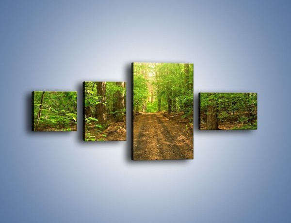 Obraz na płótnie – Leśną drogą jak z filmu – czteroczęściowy KN324W5