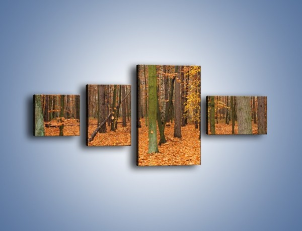 Obraz na płótnie – Las obsypany jesiennymi liśćmi – czteroczęściowy KN396W5