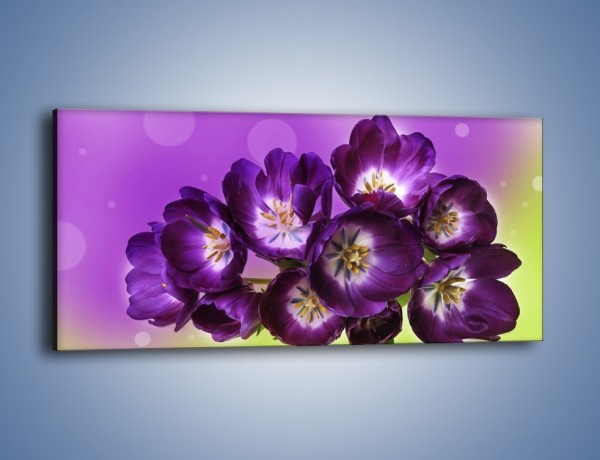 Obraz na płótnie – Fioletowe kwiaty w powietrzu – jednoczęściowy panoramiczny K630