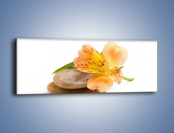 Obraz na płótnie – Kwiat jak mango – jednoczęściowy panoramiczny K631