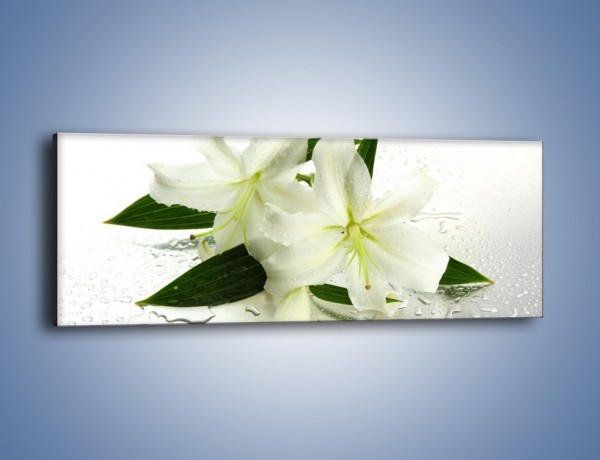 Obraz na płótnie – Niewinność białej lilii – jednoczęściowy panoramiczny K632