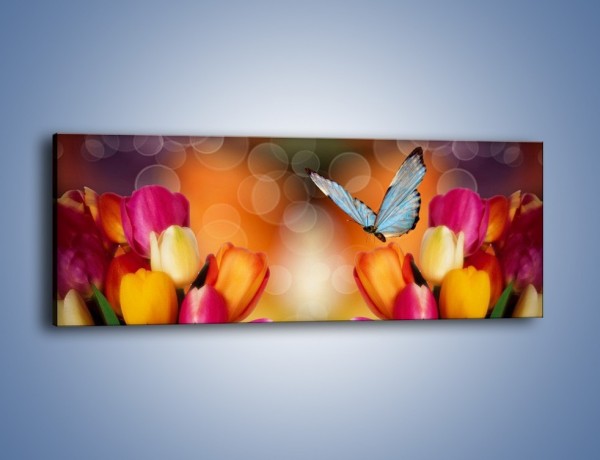 Obraz na płótnie – Motyl wśród tulipanów – jednoczęściowy panoramiczny K635