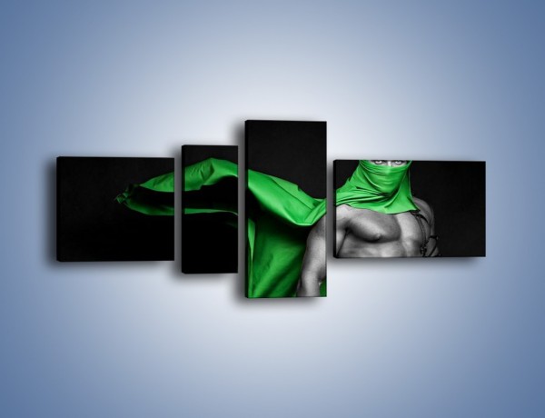Obraz na płótnie – Zielony ninja – czteroczęściowy L245W5