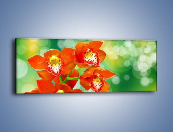Obraz na płótnie – Kwiatek jak pomarańcza – jednoczęściowy panoramiczny K642