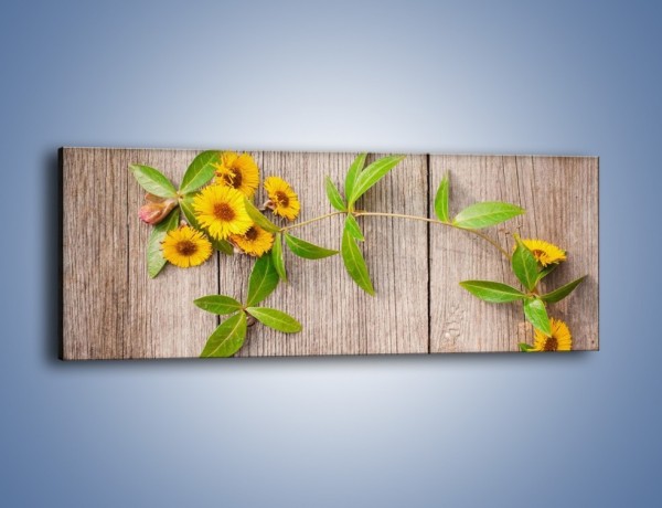 Obraz na płótnie – Słoneczne kwiatuszki na deskach – jednoczęściowy panoramiczny K645