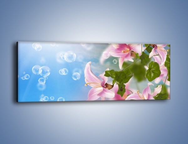 Obraz na płótnie – Mydlane bańki nad kwiatami – jednoczęściowy panoramiczny K669