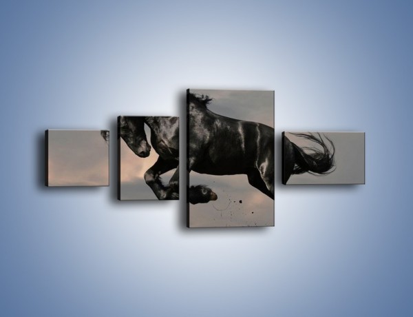 Obraz na płótnie – Niespokojny dziki koń – czteroczęściowy Z001W5