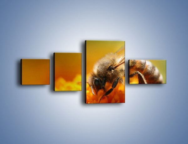 Obraz na płótnie – Pszczoła zbierająca nektar – czteroczęściowy Z002W5