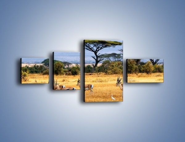 Obraz na płótnie – Antylopy w słonecznej afryce – czteroczęściowy Z003W5