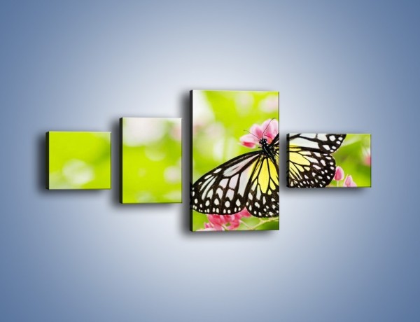 Obraz na płótnie – Motyl w letni poranek – czteroczęściowy Z004W5