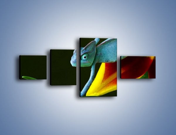 Obraz na płótnie – Liść w łapce kameleona – czteroczęściowy Z005W5