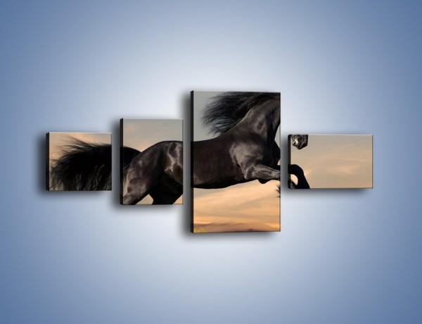 Obraz na płótnie – Czarny koń w galopie – czteroczęściowy Z008W5