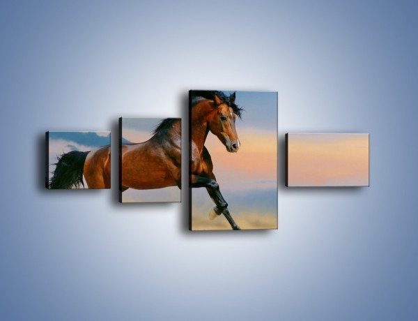 Obraz na płótnie – Brązowy koń na pustyni – czteroczęściowy Z011W5