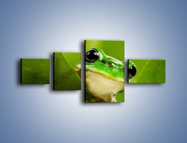Obraz na płótnie – Zielony świat żabki – czteroczęściowy Z014W5