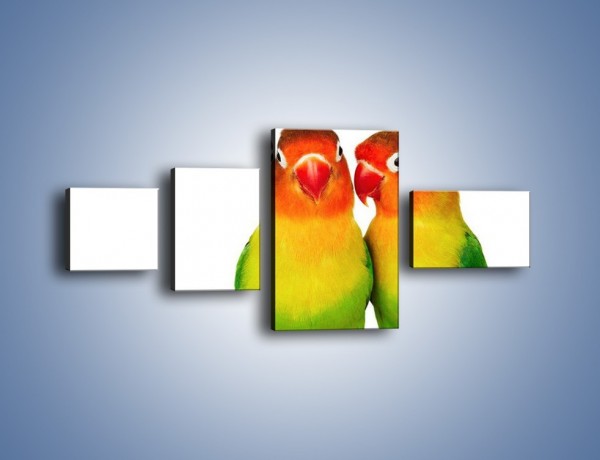 Obraz na płótnie – Sekrety uśmiechniętych papug – czteroczęściowy Z017W5