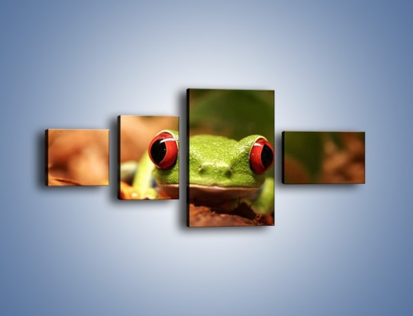 Obraz na płótnie – Bystre oczka małej żabki – czteroczęściowy Z023W5