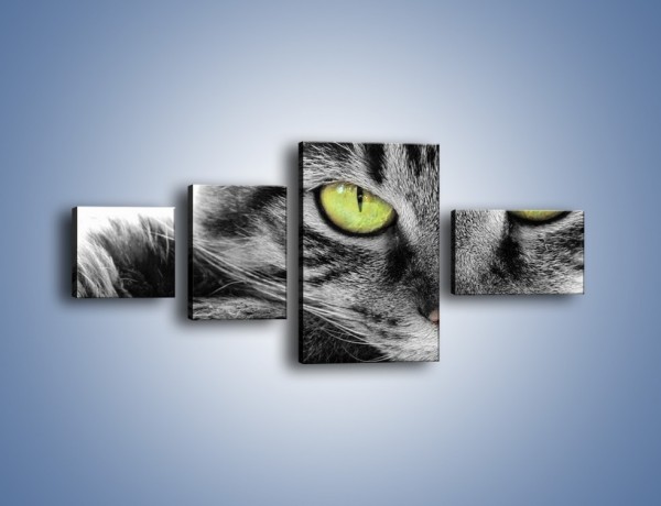 Obraz na płótnie – Obserwujący koci wzrok – czteroczęściowy Z031W5