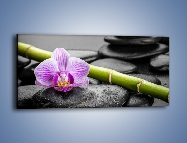 Obraz na płótnie – Bambus czy storczyk – jednoczęściowy panoramiczny K686