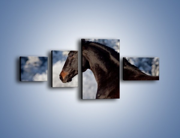 Obraz na płótnie – Brązowy ogier na zimowym spacerze – czteroczęściowy Z056W5
