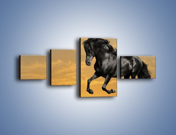 Obraz na płótnie – Bieg z koniem po polanie – czteroczęściowy Z057W5