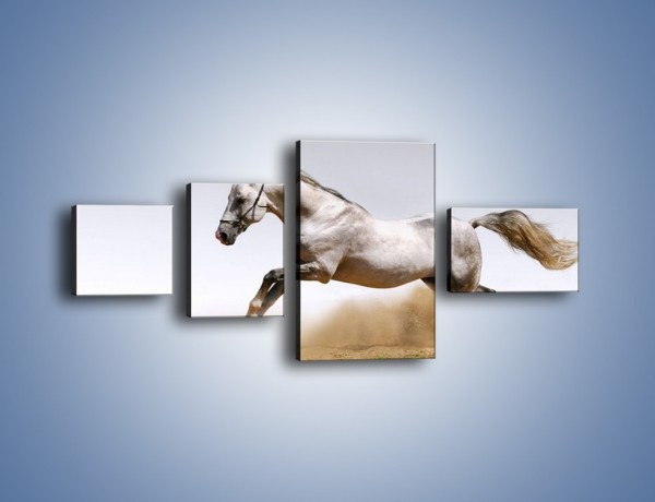 Obraz na płótnie – Srebrny koń w galopie – czteroczęściowy Z062W5