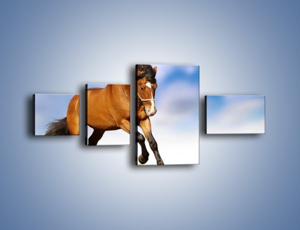 Obraz na płótnie – Przejażdżka na brązowym koniu – czteroczęściowy Z064W5