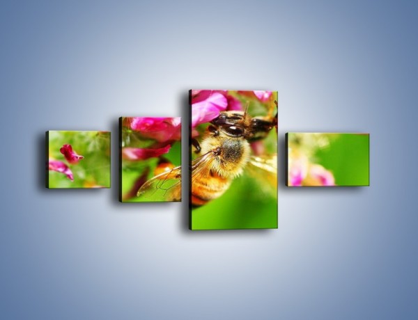 Obraz na płótnie – Pszczoły kochają kwiaty – czteroczęściowy Z065W5