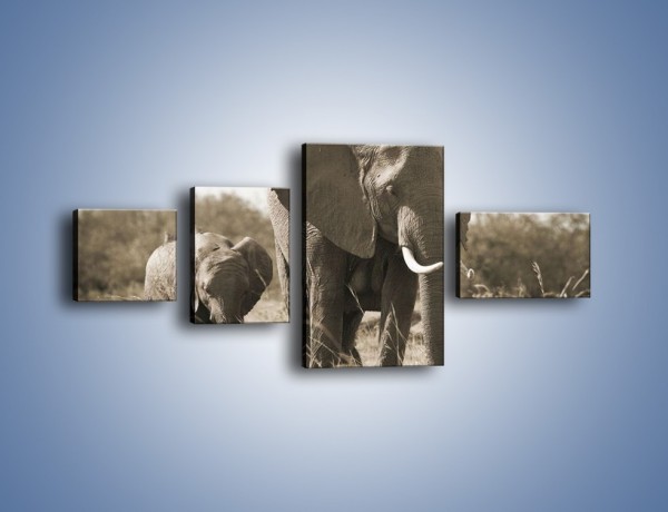 Obraz na płótnie – Wędrówki słoni przez sawannę – czteroczęściowy Z081W5
